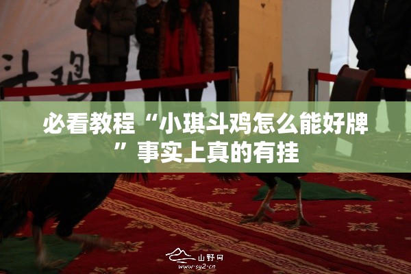 必看教程“小琪斗鸡怎么能好牌”事实上真的有挂