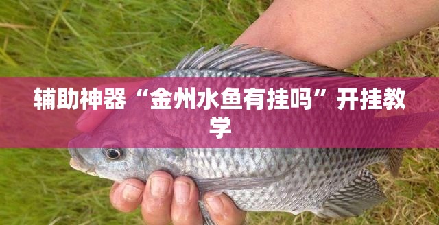 辅助神器“金州水鱼有挂吗”开挂教学