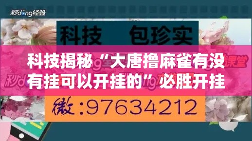 科技揭秘“大唐撸麻雀有没有挂可以开挂的”必胜开挂神器