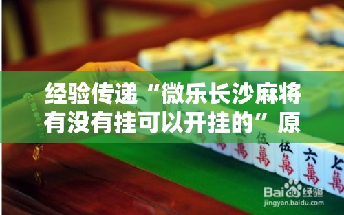 经验传递“微乐长沙麻将有没有挂可以开挂的”原来确实有挂