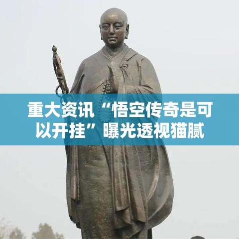 重大资讯“悟空传奇是可以开挂	”曝光透视猫腻