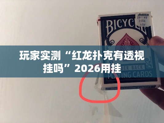 玩家实测“红龙扑克有透视挂吗”2026用挂