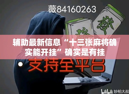 辅助最新信息“十三张麻将确实能开挂”确实是有挂