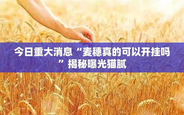 今日重大消息“麦穗真的可以开挂吗”揭秘曝光猫腻