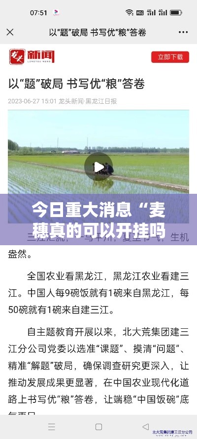 今日重大消息“麦穗真的可以开挂吗”揭秘曝光猫腻