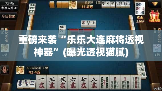 重磅来袭“乐乐大连麻将透视神器”(曝光透视猫腻)