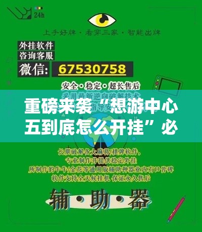 重磅来袭“想游中心五到底怎么开挂”必胜开挂神器