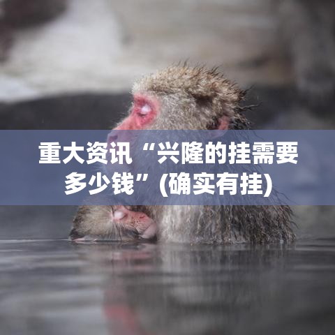 重大资讯“兴隆的挂需要多少钱”(确实有挂)