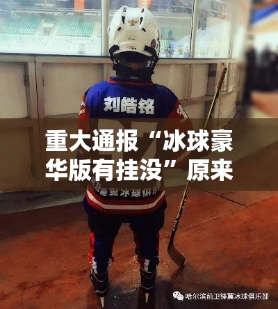 重大通报“冰球豪华版有挂没	”原来真的有挂