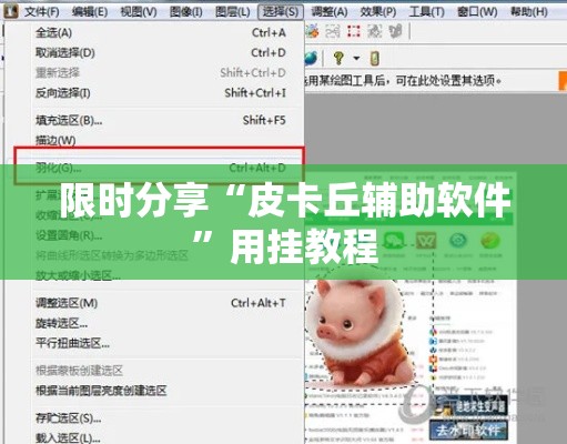 限时分享“皮卡丘辅助软件”用挂教程