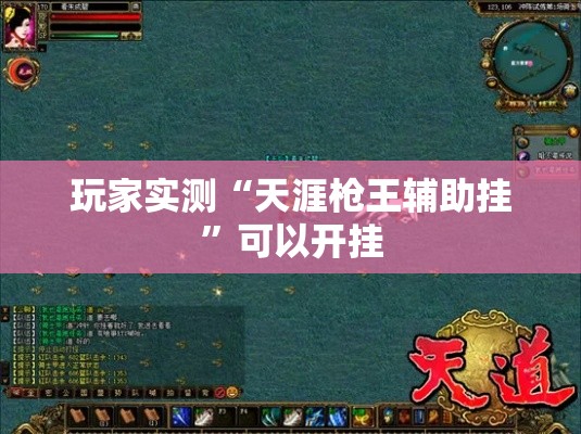 玩家实测“天涯枪王辅助挂”可以开挂