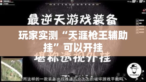 玩家实测“天涯枪王辅助挂	”可以开挂