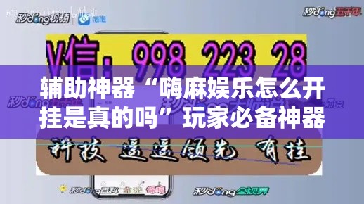 辅助神器“嗨麻娱乐怎么开挂是真的吗”玩家必备神器
