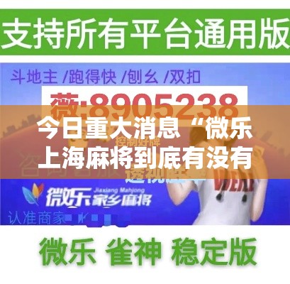 今日重大消息“微乐上海麻将到底有没有透视挂吗”事实上真的有挂