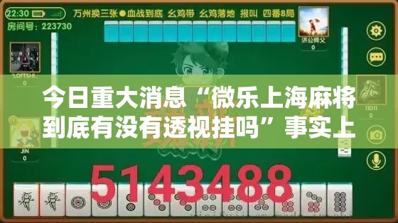 今日重大消息“微乐上海麻将到底有没有透视挂吗	”事实上真的有挂
