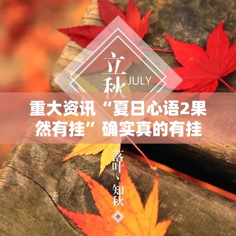 重大资讯“夏日心语2果然有挂”确实真的有挂