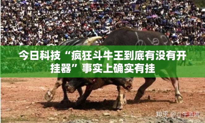 今日科技“疯狂斗牛王到底有没有开挂器”事实上确实有挂
