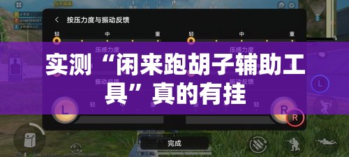 实测“闲来跑胡子辅助工具”真的有挂