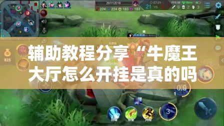 辅助教程分享“牛魔王大厅怎么开挂是真的吗”有开挂透视