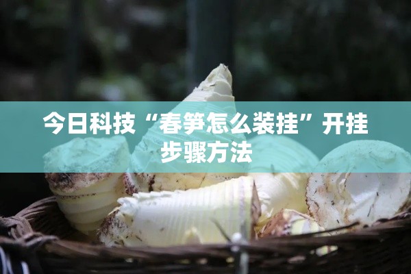 今日科技“春笋怎么装挂”开挂步骤方法