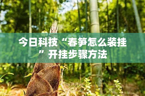 今日科技“春笋怎么装挂”开挂步骤方法