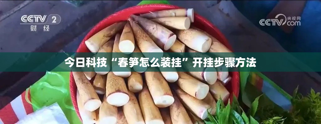 今日科技“春笋怎么装挂”开挂步骤方法