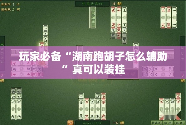 玩家必备“湖南跑胡子怎么辅助	”真可以装挂