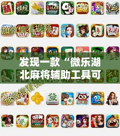 发现一款“微乐湖北麻将辅助工具可以辅助