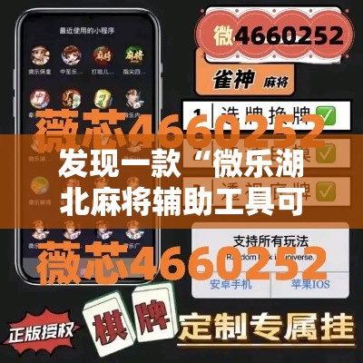 发现一款“微乐湖北麻将辅助工具可以辅助