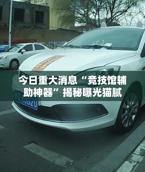 今日重大消息“竞技馆辅助神器	”揭秘曝光猫腻