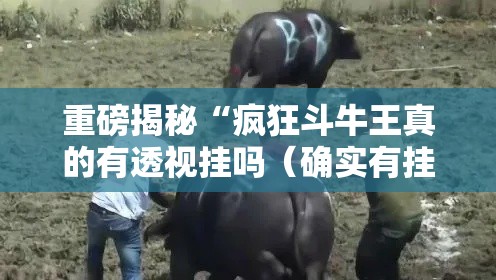 重磅揭秘“疯狂斗牛王真的有透视挂吗（确实有挂）