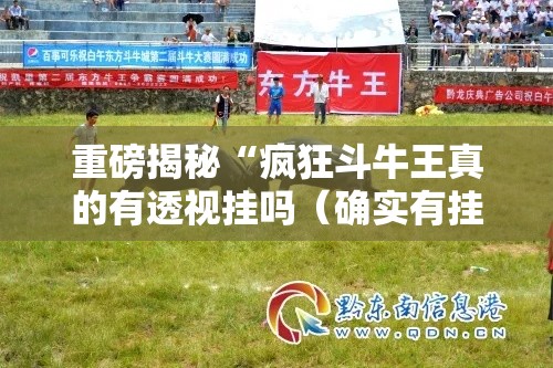 重磅揭秘“疯狂斗牛王真的有透视挂吗（确实有挂）