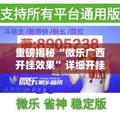 重磅揭秘“微乐广西开挂效果”详细开挂玩法