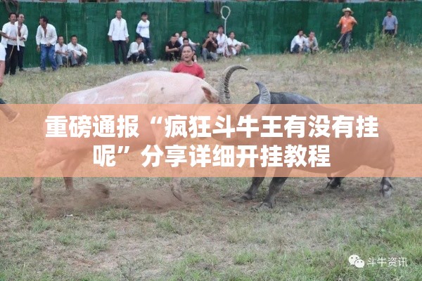 重磅通报“疯狂斗牛王有没有挂呢”分享详细开挂教程
