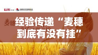 经验传递“麦穗到底有没有挂”详细开挂玩法
