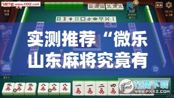 实测推荐“微乐山东麻将究竟有挂吗”玩家必备神器