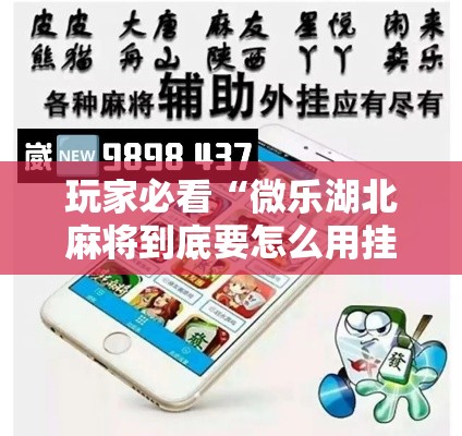 玩家必看“微乐湖北麻将到底要怎么用挂”可以透视