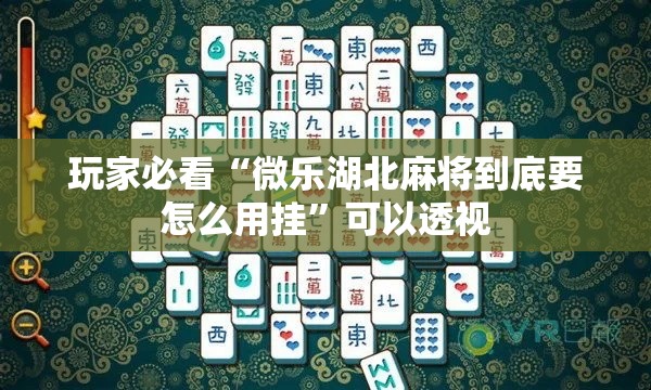 玩家必看“微乐湖北麻将到底要怎么用挂	”可以透视