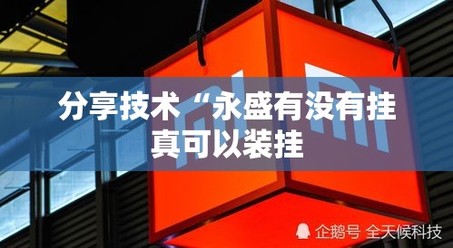 分享技术“永盛有没有挂真可以装挂