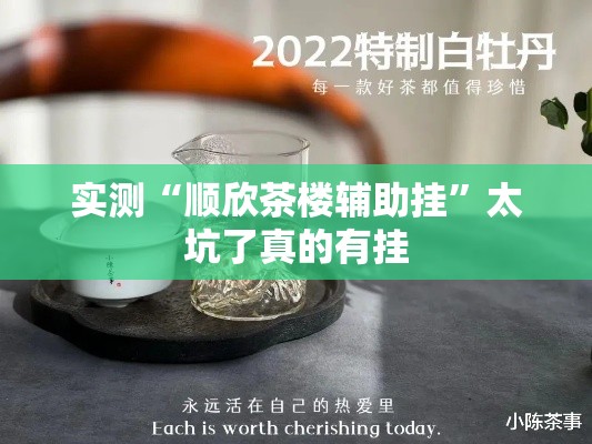 实测“顺欣茶楼辅助挂”太坑了真的有挂