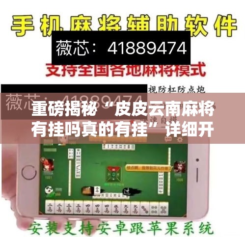 重磅揭秘“皮皮云南麻将有挂吗真的有挂”详细开挂教程