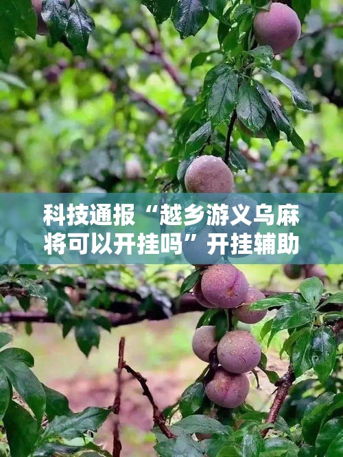 科技通报“越乡游义乌麻将可以开挂吗”开挂辅助透视教程