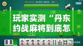玩家实测“丹东约战麻将到底怎么开挂”开挂必胜方法