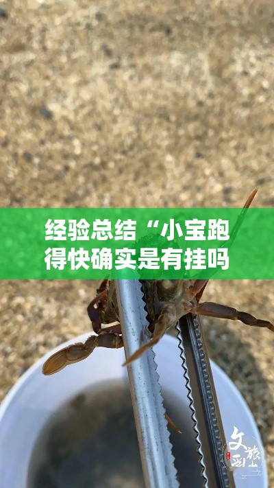 经验总结“小宝跑得快确实是有挂吗	”太坑了真的有挂