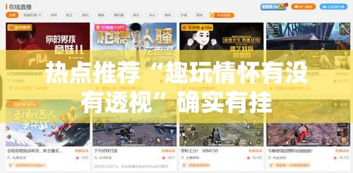 热点推荐“趣玩情怀有没有透视”确实有挂